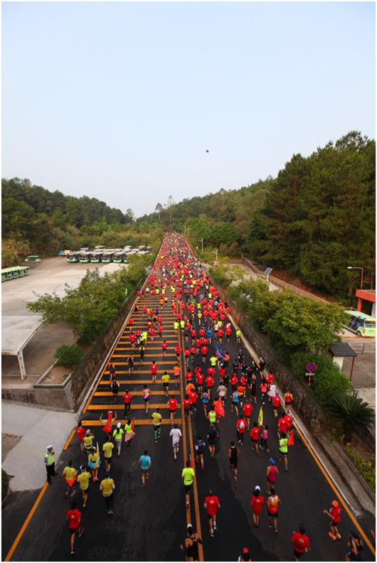 ��������᳹������������