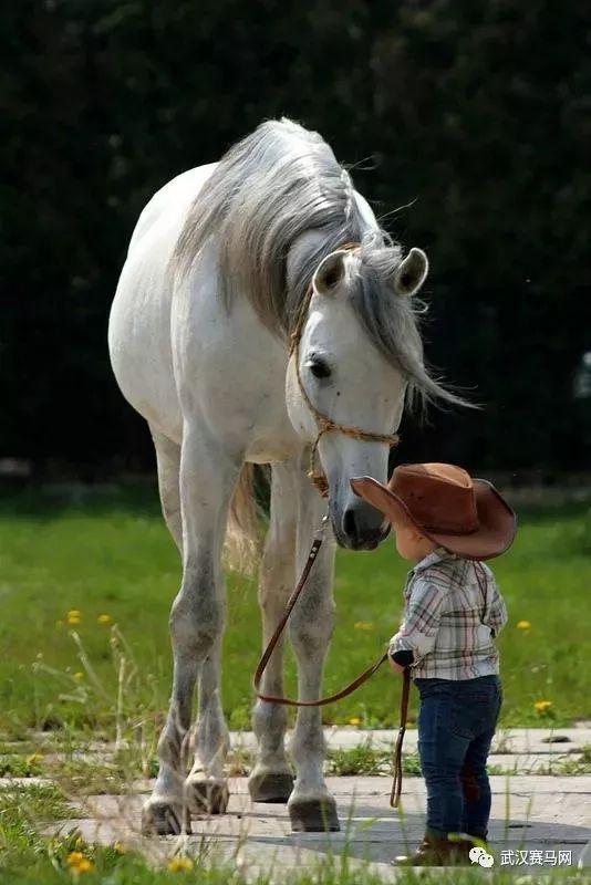 马与孩子
