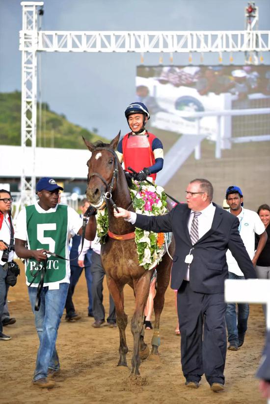 冠军：“铸冕” （Casting Crowns） 骑师：覃勇