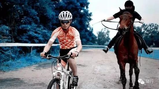 ����������ȫ