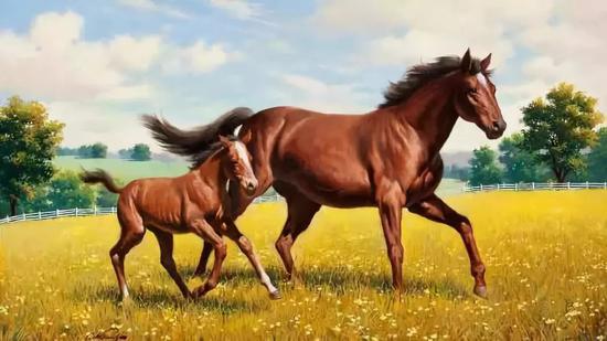 自然界的马匹“母子”