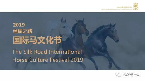 2019年中国“丝绸之路杯”速度赛马昭苏站比赛