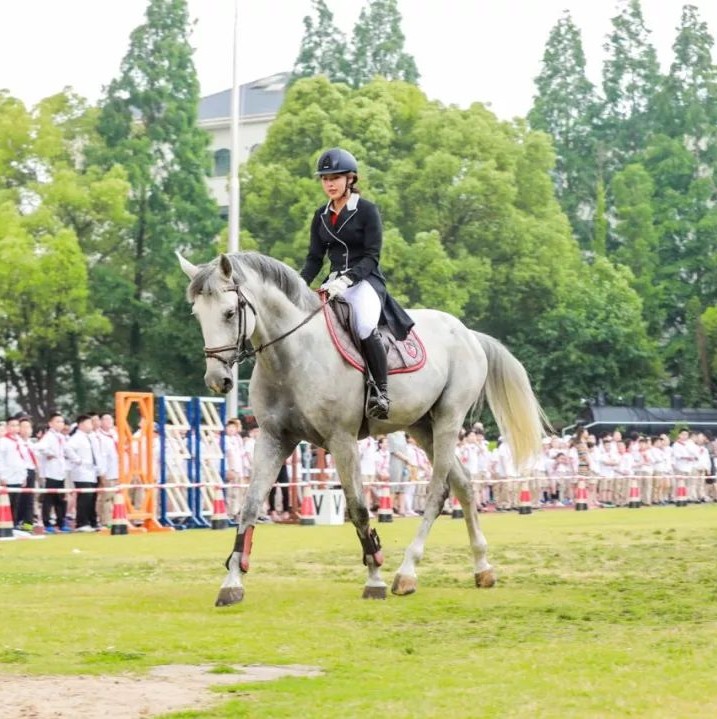 上海市中幼学马术联盟2019马术大会在同洲模范私塾成功举走