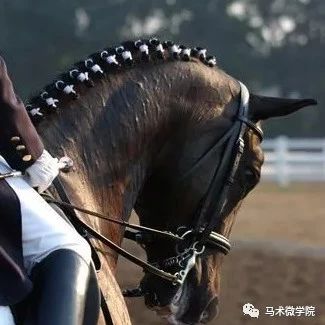 让马学会后退