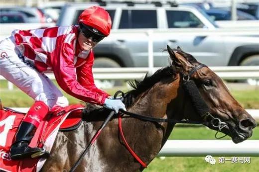 ▲2017年蓝砖石锦标头马“朗朗上口”,图来自MelbourneRacingClub