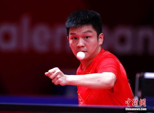 中国选手樊振东在比赛中。（资料图） 中新社记者 刘关关 摄