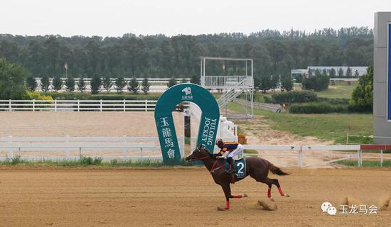 “华宇风度”问鼎殷利殊坚尼雄马组前面站冠军