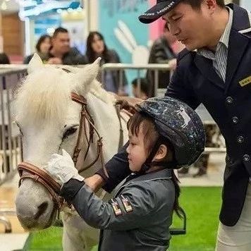 马术课程何以得到越来越多家庭的青睐？