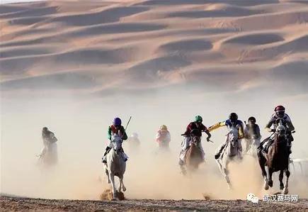 沙漠赛马
