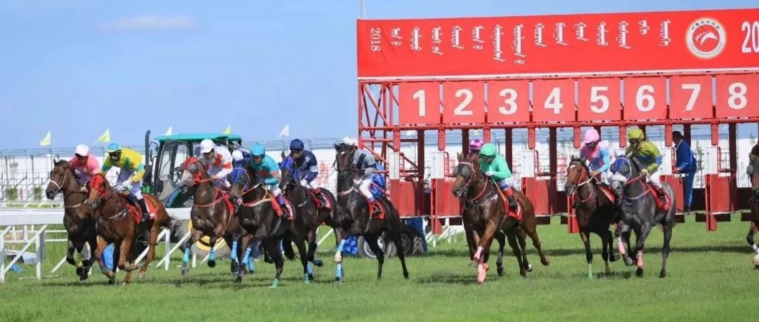 内蒙古国际马文化博览会暨第六届内蒙古国际马术节中部区联赛(呼和浩特站)