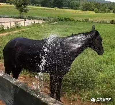 防晒措施必不可少