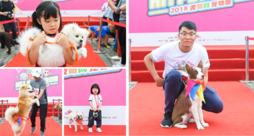 PETS FASHION SHOW