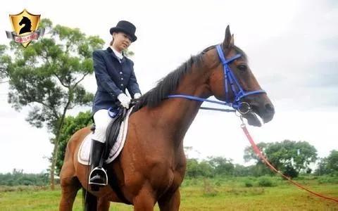 图片来源于网络