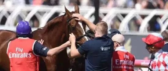 英国名驹“红色礼物”(Red Cadeaux)