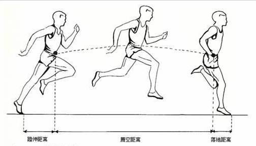 180是最佳步频吗?为何这样跑步最经济?