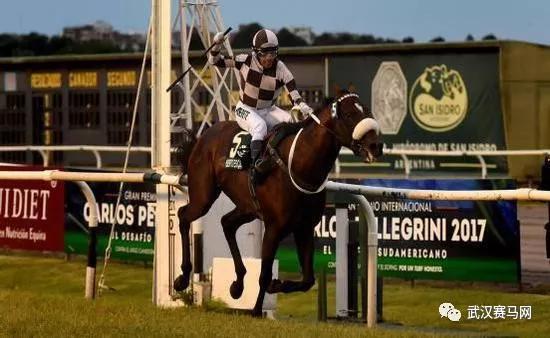 世界各地著名的赛马赛事