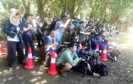 沈阳城区人口630万_沈阳城区划分图(2)