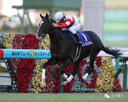 (文/花和尚 东方赛马)