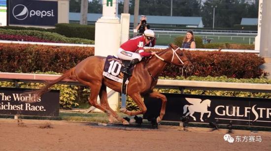 ▲图/Pegasus World Cup，「铤而走险」