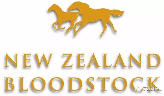 ▲图/New Zealand Bloodstock，新西兰纯血马拍卖行