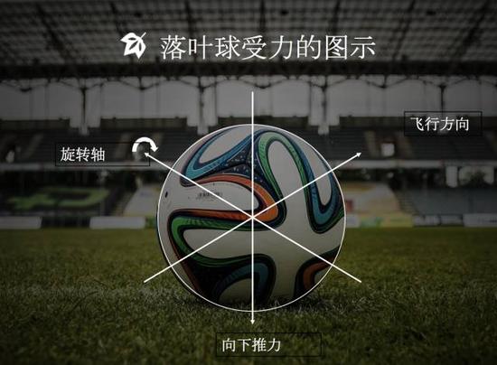 清华物理系教授:中国足球的根本问题是文化问题
