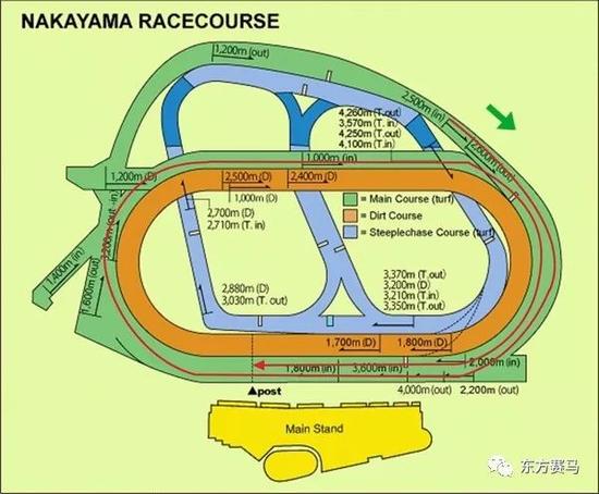 ▲图/Horse Racing in Japan