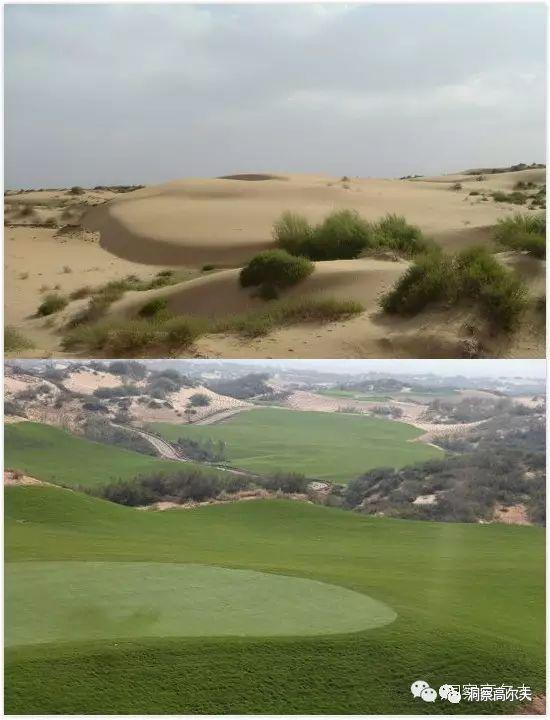 高尔夫球场修复沙漠生态，阻挡风沙蔓延