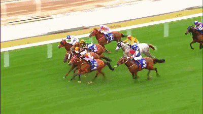 全球赛马月报:2月共17场纯血马一级赛看过瘾!_马术