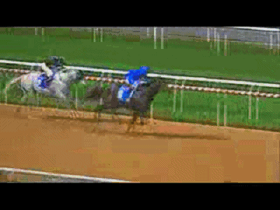 配种费需要多少?_马术_新浪