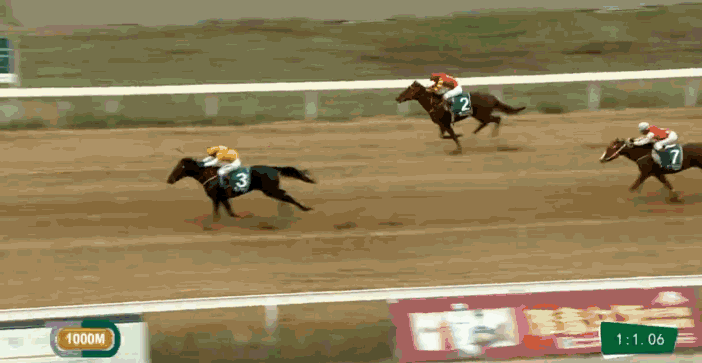 综合体育 马术 动态资讯 正文 