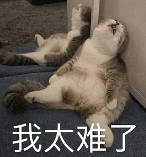 炸了!球员冲突裁判被打流血!十年首次单场4双