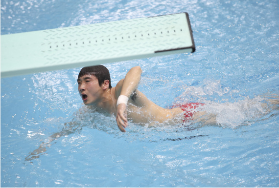 腊月廿八廿九进行奥运选拔 中国跳水队春节不打烊
