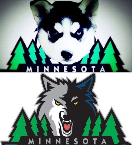 不搞交易!不鬧內訌!灰狼現在是最團結的球隊-黑特籃球-NBA新聞影音圖片分享社區