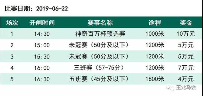 赛程安排