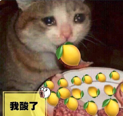 不服气?