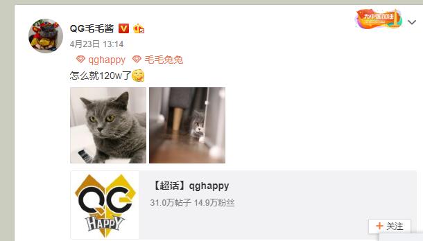 猫咪令让俱乐部微博粉丝猛增