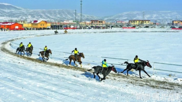 雪地賽馬
