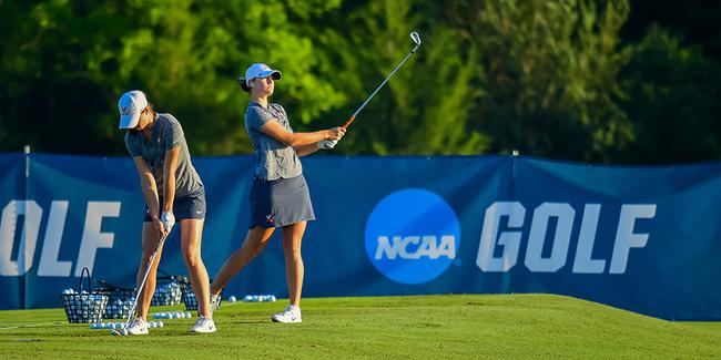 NCAA女子高尔夫球队发展良好