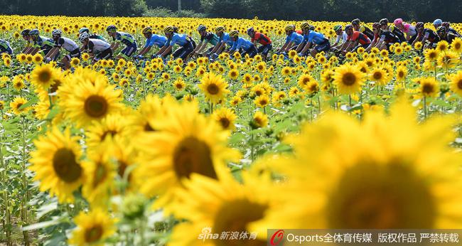 2021环法将从哥本哈根发车 前三赛段也将在丹麦境内