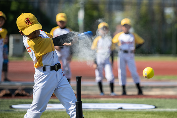 专业球员仅有720人!中国棒球还剩多少人在打?