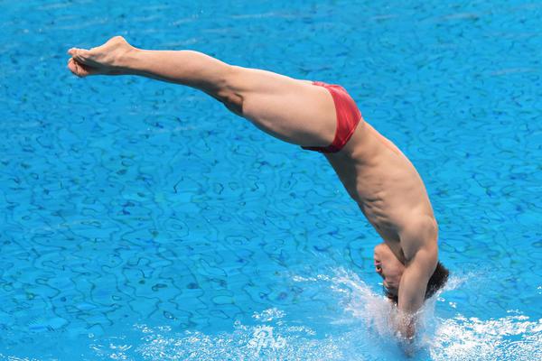 屠夫躲猫猫最新版本