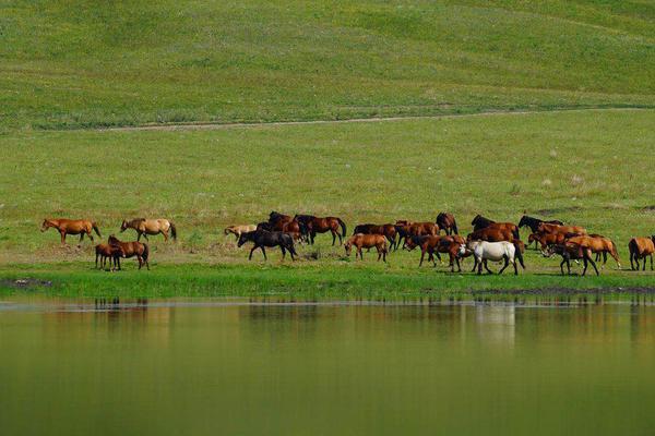 开元棋牌- 开元棋牌APP下载- 开元棋牌官方网站晓风棋牌游戏系统:新形势下的棋牌游戏运营