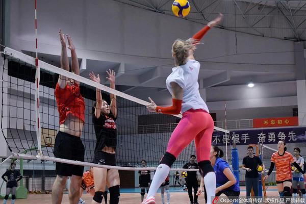 弗格森宣布退休