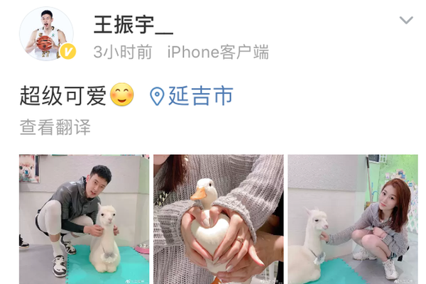 中国对科威特-乐鱼app(leyu)官方网站-乐鱼官网