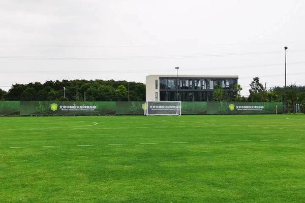 申京讀秒出手欲造約基奇犯規 兩人雙雙后倒 美媒：兩個人瘋狂假摔