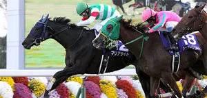 ▲图/Horse Racing in Japan，‘钠柱石*’左一
