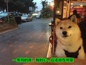 宝拉神八卦:扒一扒恒大太太团_欧陆烽火