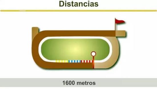 ▲图/Hipódromo de La Plata