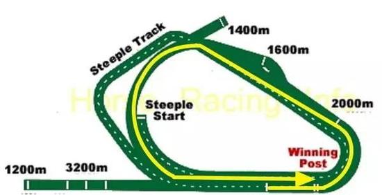 ▲图/HorseRacingInfo