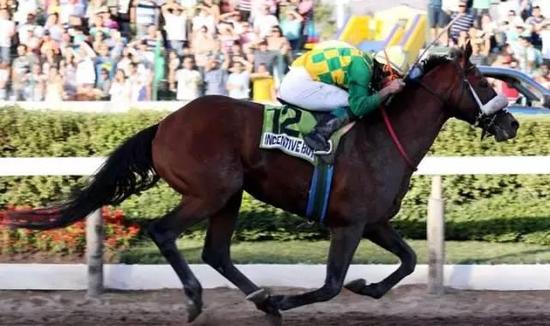 ▲图/Hipódromo Chile，‘动力小子*’